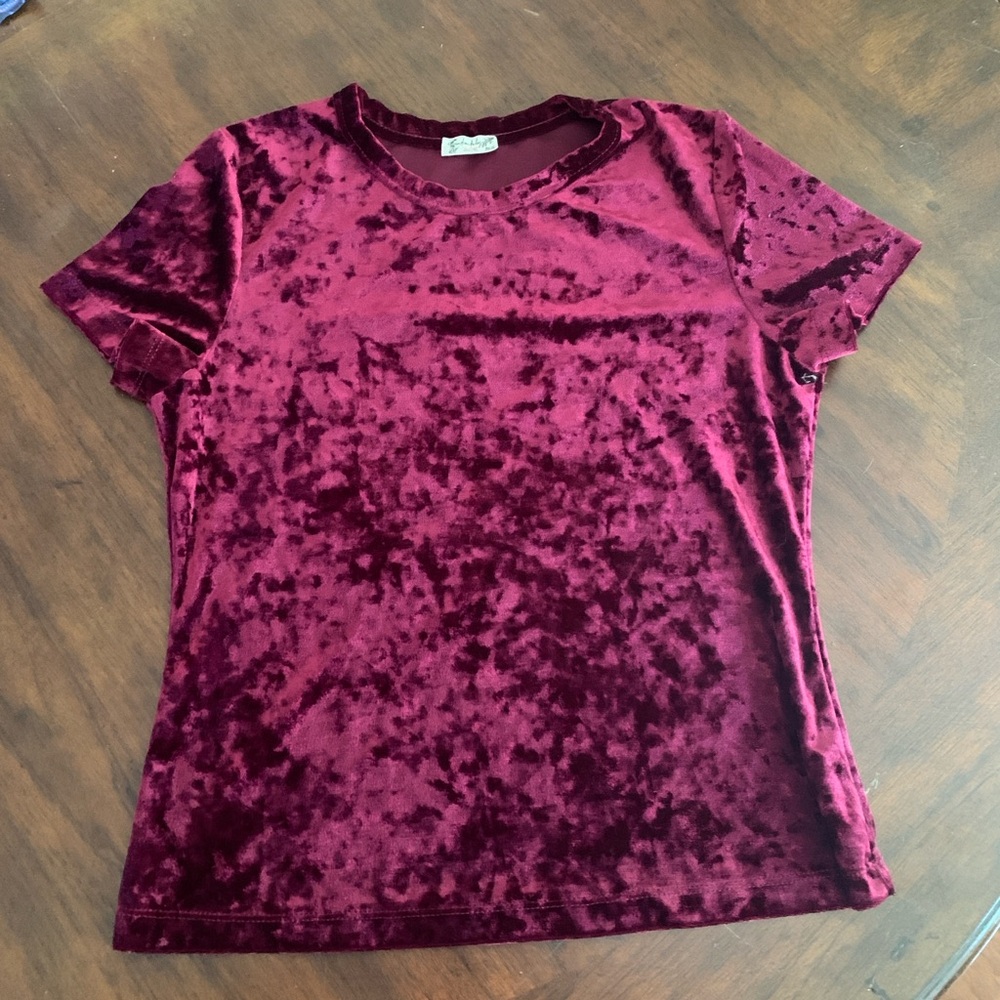 Free People Crushed Velvet Top LG